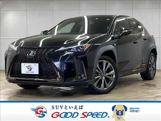 TOYOTA / LEXUS UX250h