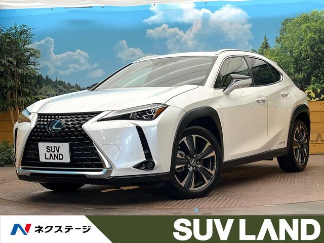 TOYOTA / LEXUS UX250h