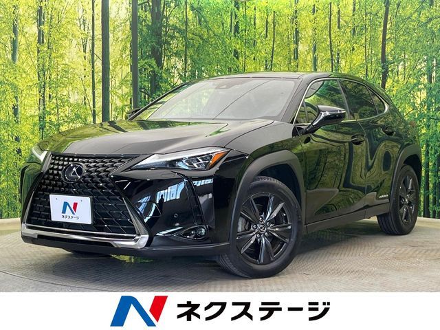 TOYOTA / LEXUS UX250h