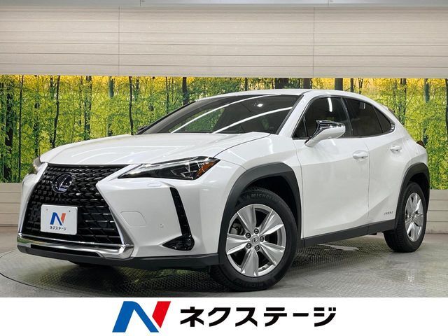 TOYOTA / LEXUS UX250h