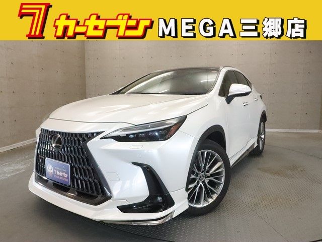 TOYOTA / LEXUS NX250