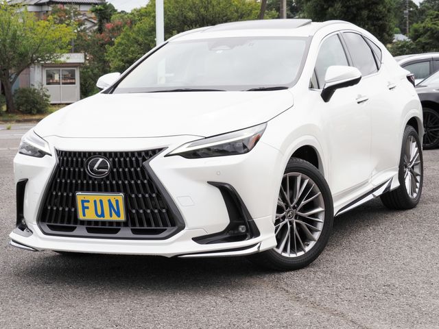 TOYOTA / LEXUS NX450h+ AWD