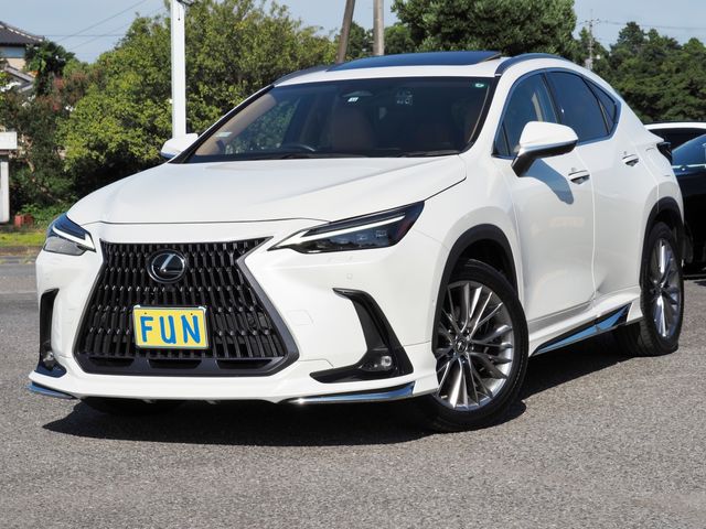 TOYOTA / LEXUS NX450h+ AWD