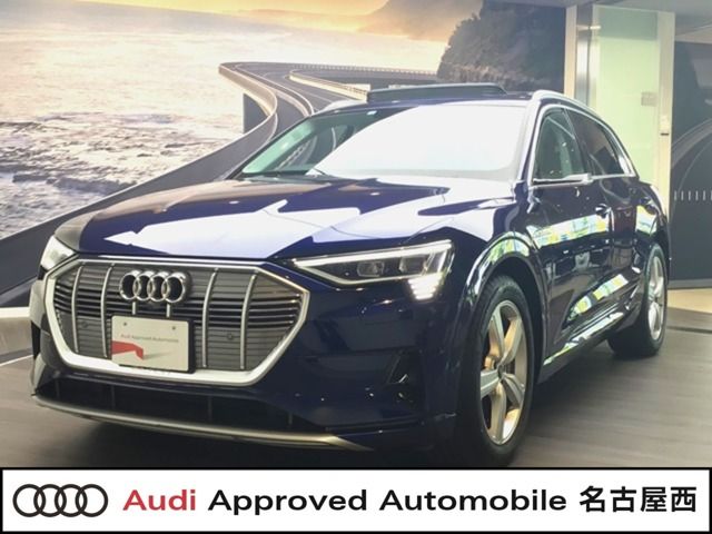 AUDI / AUDI e-tron