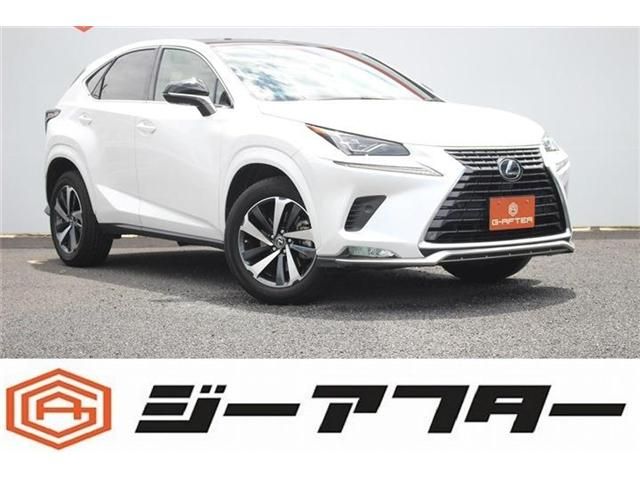TOYOTA / LEXUS NX300
