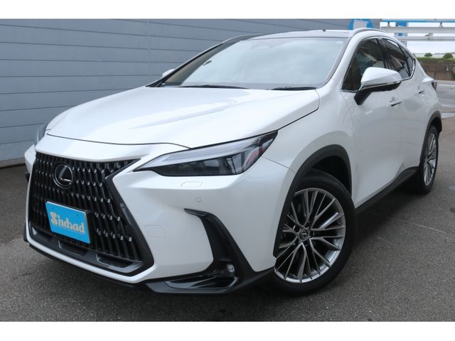 TOYOTA / LEXUS NX250