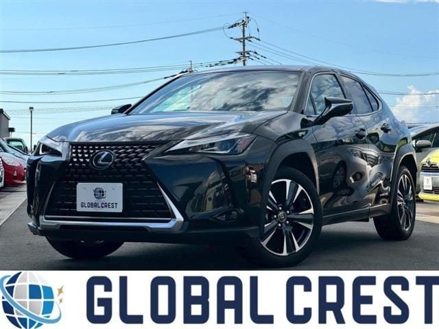 TOYOTA / LEXUS UX250h