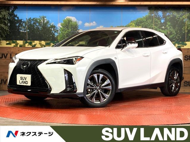 TOYOTA / LEXUS UX250h