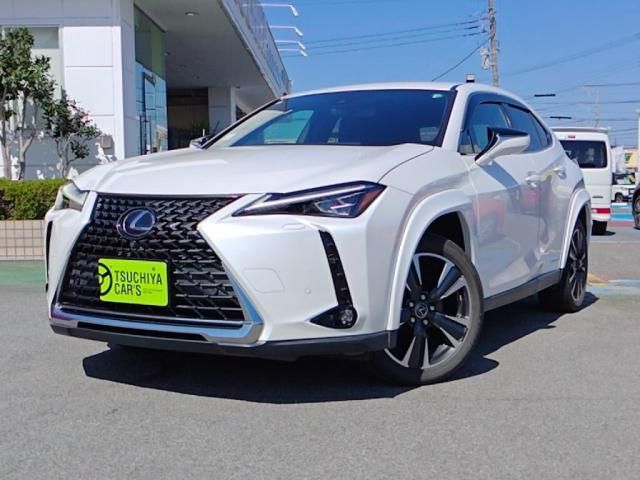 TOYOTA / LEXUS UX250h