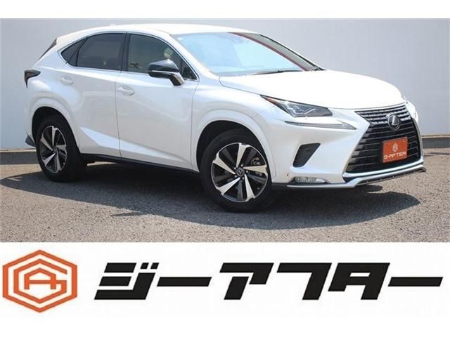 TOYOTA / LEXUS NX300