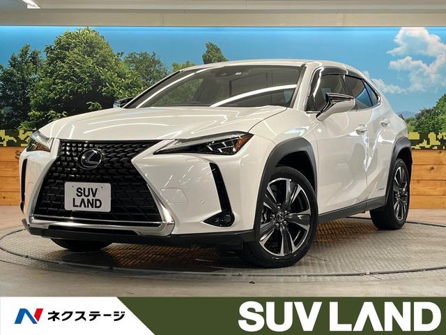 TOYOTA / LEXUS UX250h