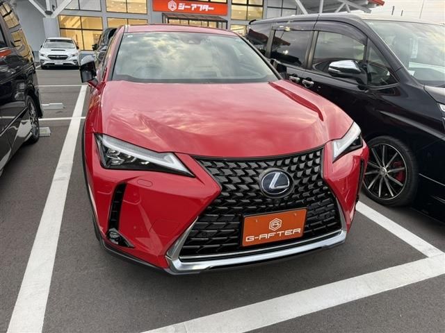 TOYOTA / LEXUS UX250h