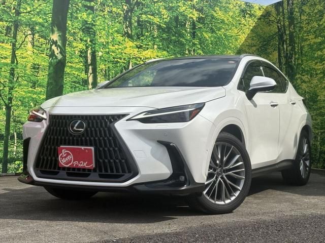 TOYOTA / LEXUS NX350h AWD
