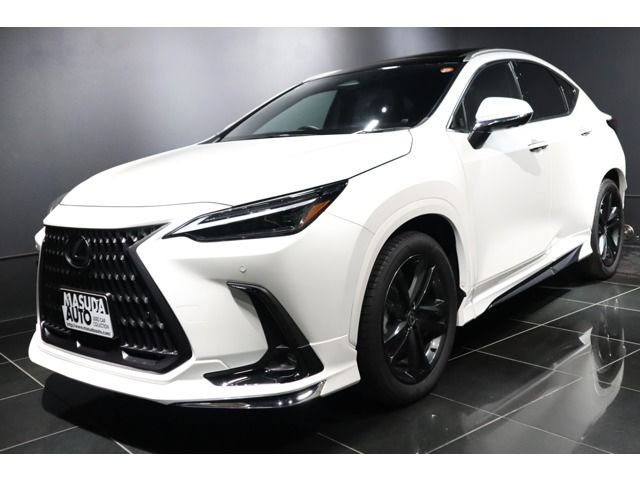TOYOTA / LEXUS NX250