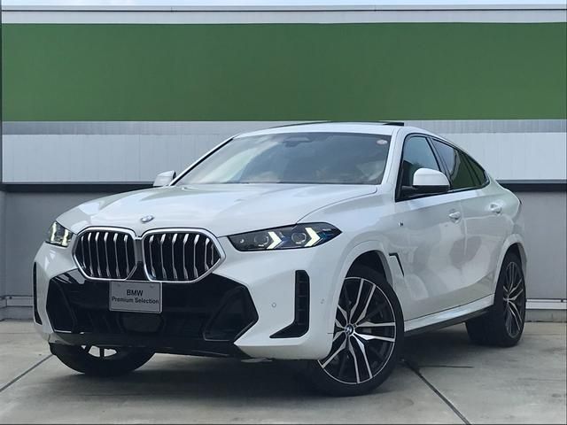 BMW / BMW X6