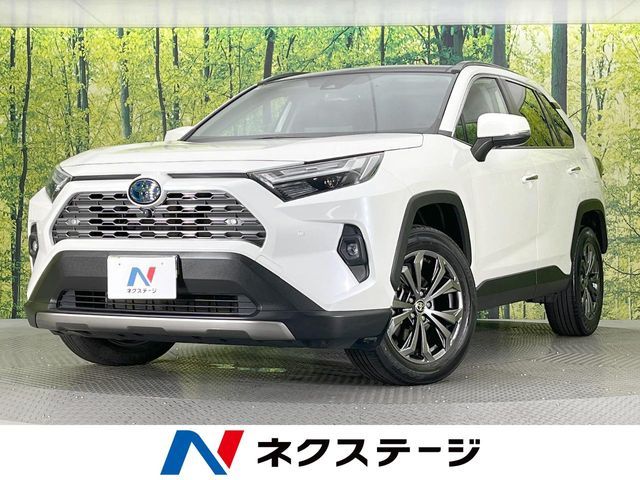 TOYOTA / RAV4 HYBRID 4WD
