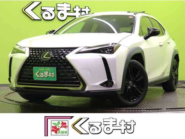 TOYOTA / LEXUS UX250h