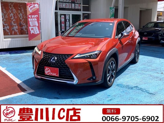 TOYOTA / LEXUS UX250h