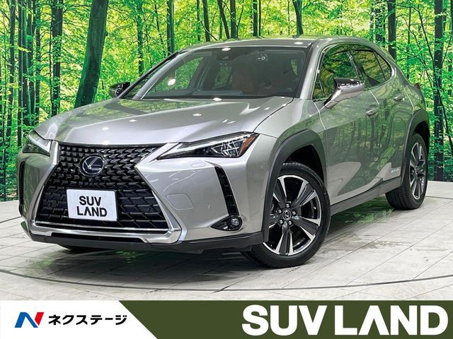 TOYOTA / LEXUS UX250h