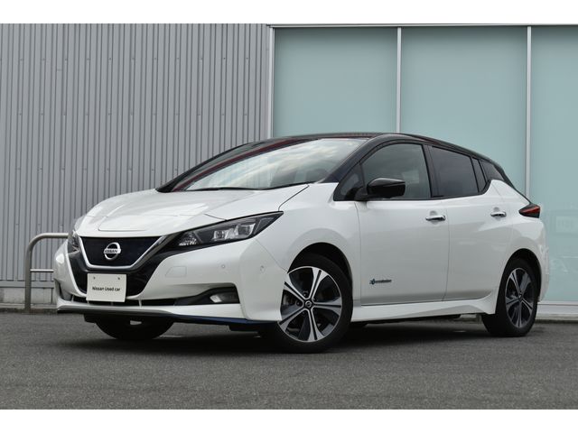NISSAN / LEAF