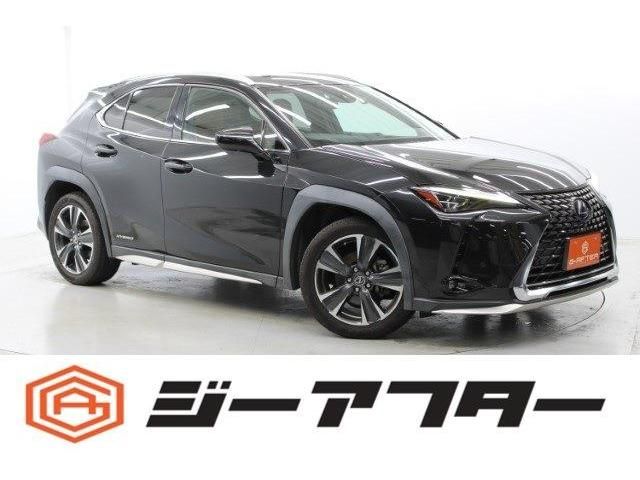 TOYOTA / LEXUS UX250h