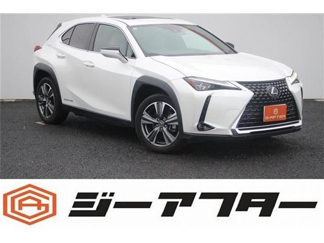 TOYOTA / LEXUS UX300e