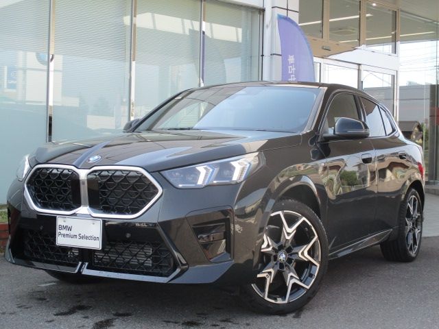 BMW / BMW X2