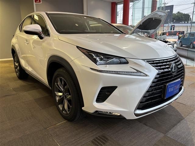 TOYOTA / LEXUS NX300