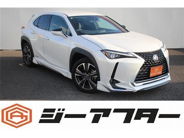TOYOTA / LEXUS UX250h