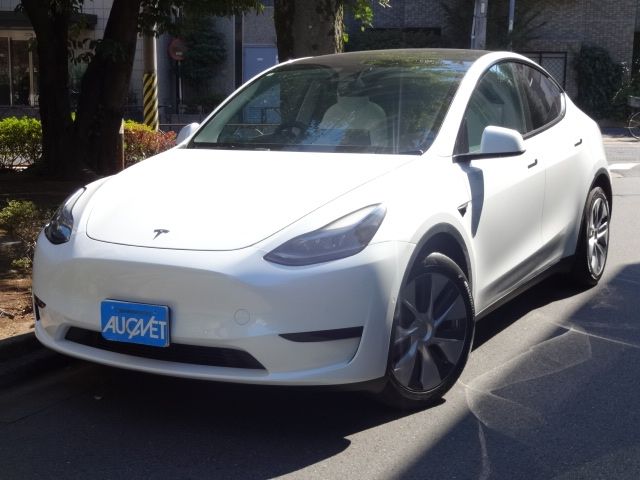 TESLA / TESLA MODEL Y