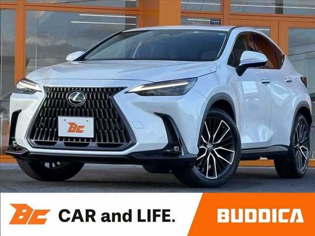 TOYOTA / LEXUS NX250