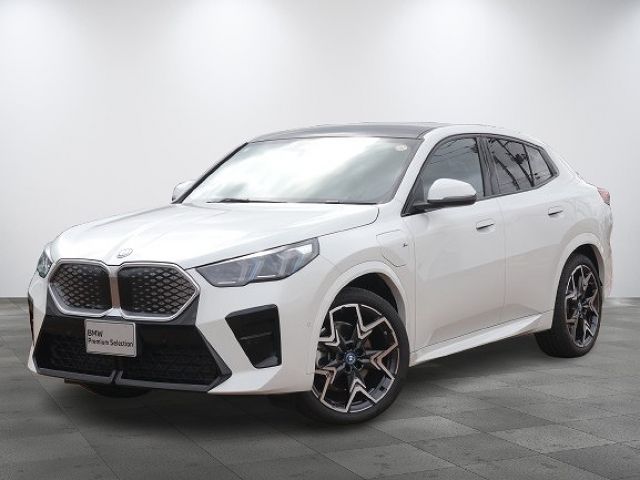 BMW / BMW iX2