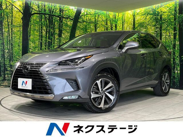 TOYOTA / LEXUS NX300 AWD