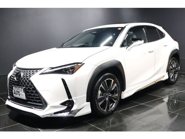 TOYOTA / LEXUS UX300h