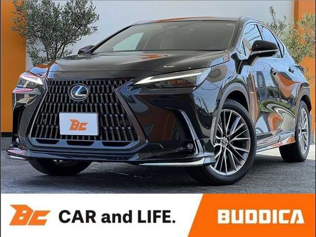 TOYOTA / LEXUS NX250