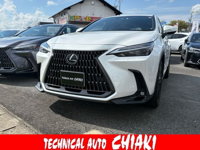 TOYOTA / LEXUS NX250