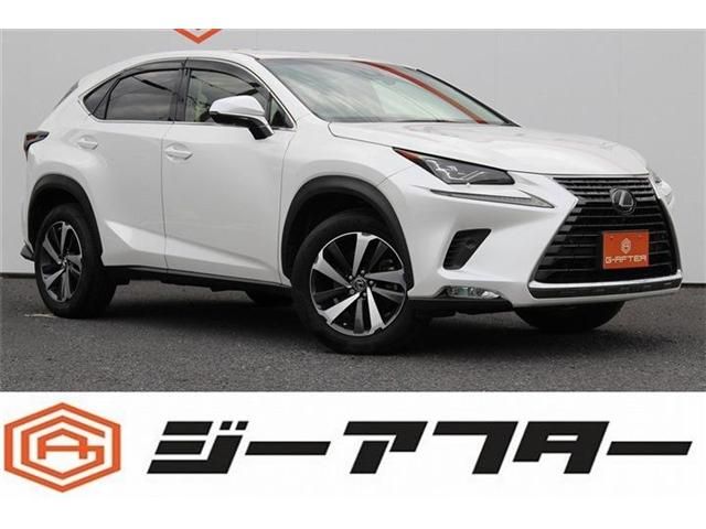 TOYOTA / LEXUS NX300 AWD