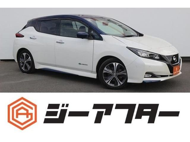 NISSAN / LEAF