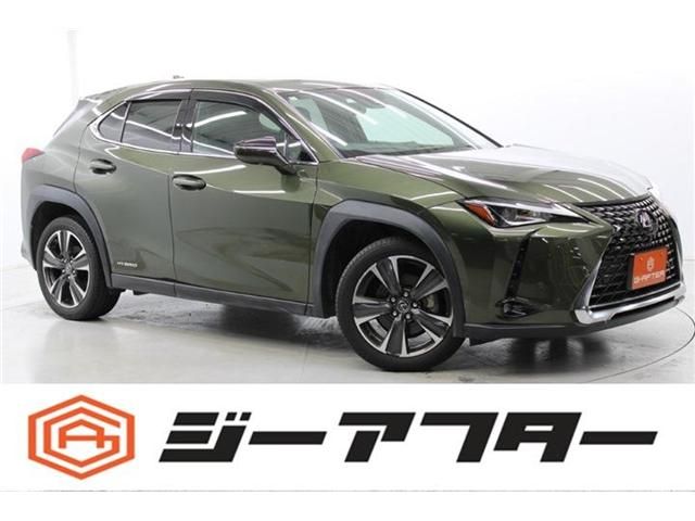 TOYOTA / LEXUS UX250h