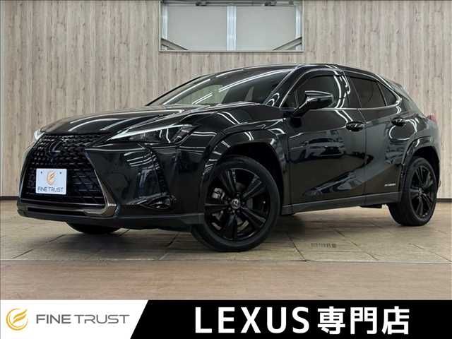 TOYOTA / LEXUS UX250h