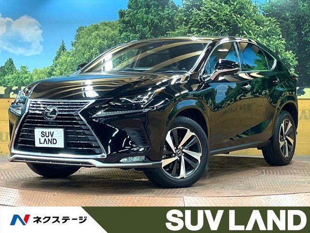TOYOTA / LEXUS NX300