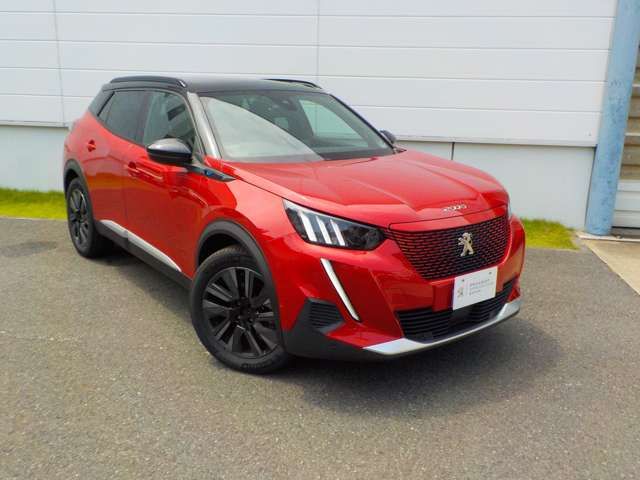 PEUGEOT / PEUGEOT e-2008