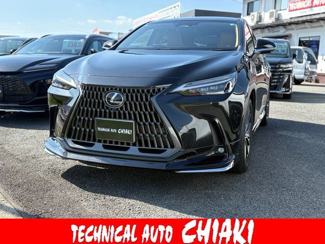 TOYOTA / LEXUS NX450h+ AWD