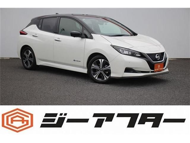 NISSAN / LEAF