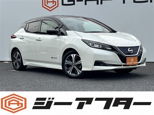 NISSAN / LEAF