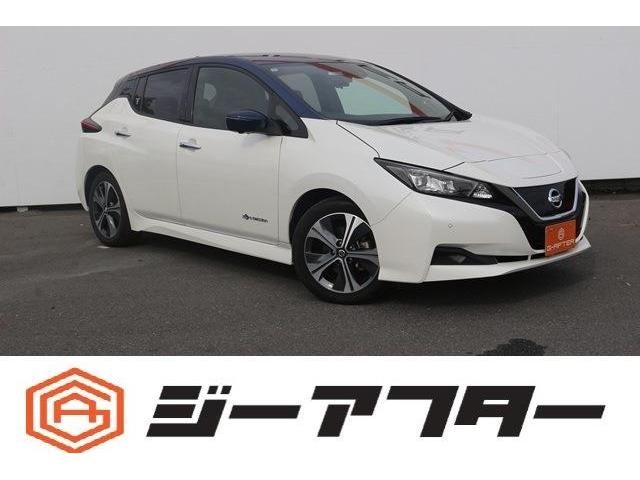 NISSAN / LEAF