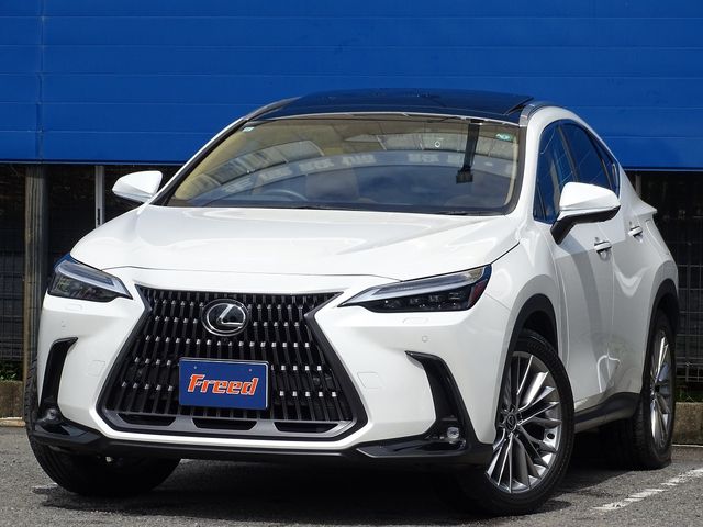 TOYOTA / LEXUS NX250