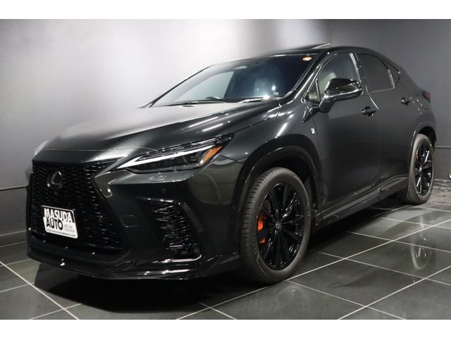 TOYOTA / LEXUS NX450h+ AWD