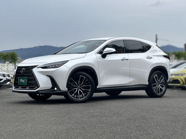 TOYOTA / LEXUS NX250
