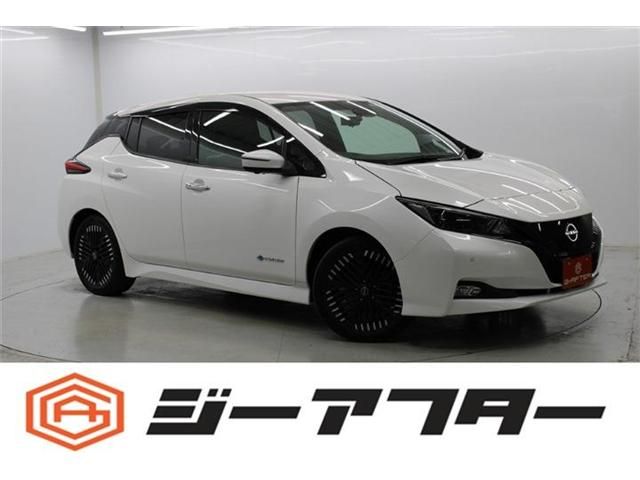 NISSAN / LEAF